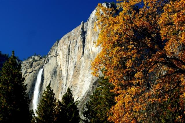 Fall Yosemite Falls view